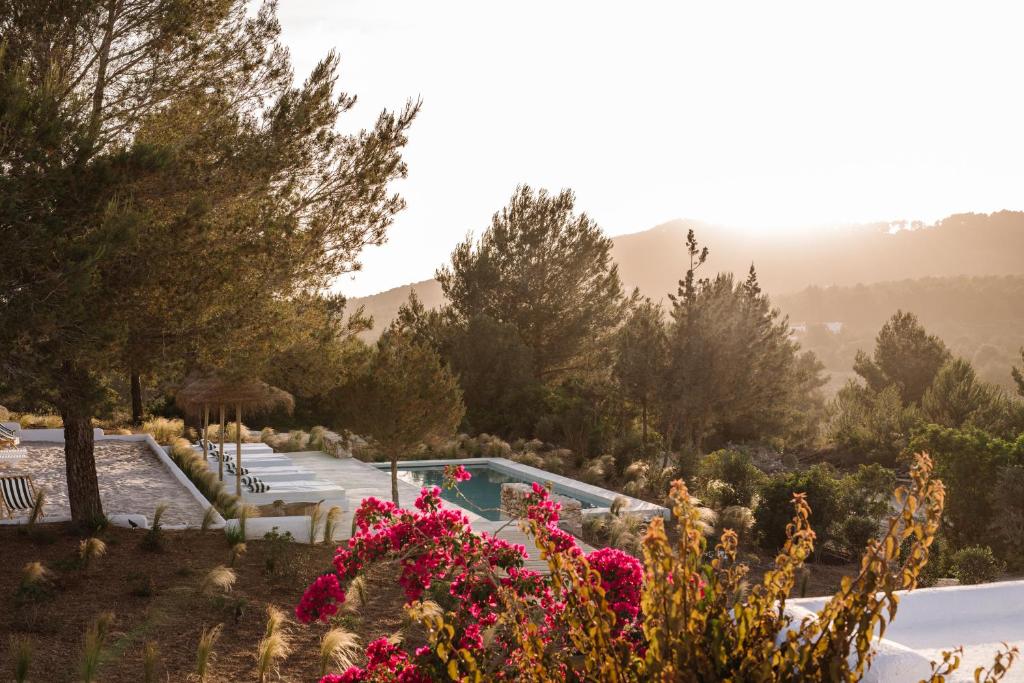 Agroturismo Can Domo